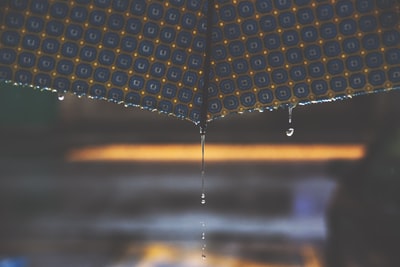 近景摄影中雨伞上的水滴
